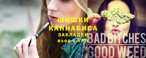 прущие грибы Вязники