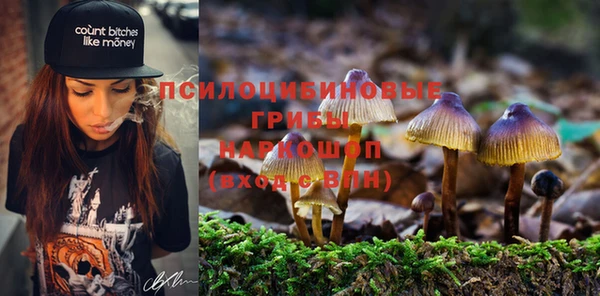 трава Волоколамск