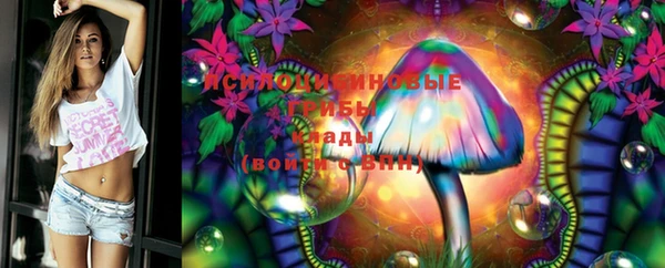 прущие грибы Вязники
