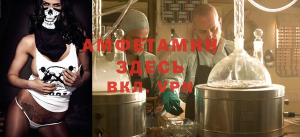 прущие грибы Вязники