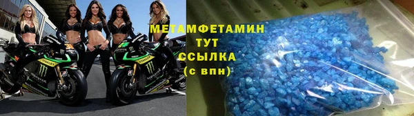 прущие грибы Вязники