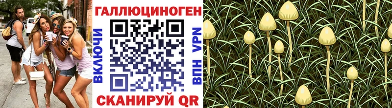 Псилоцибиновые грибы Psilocybine cubensis  цена наркотик  Великий Новгород 
